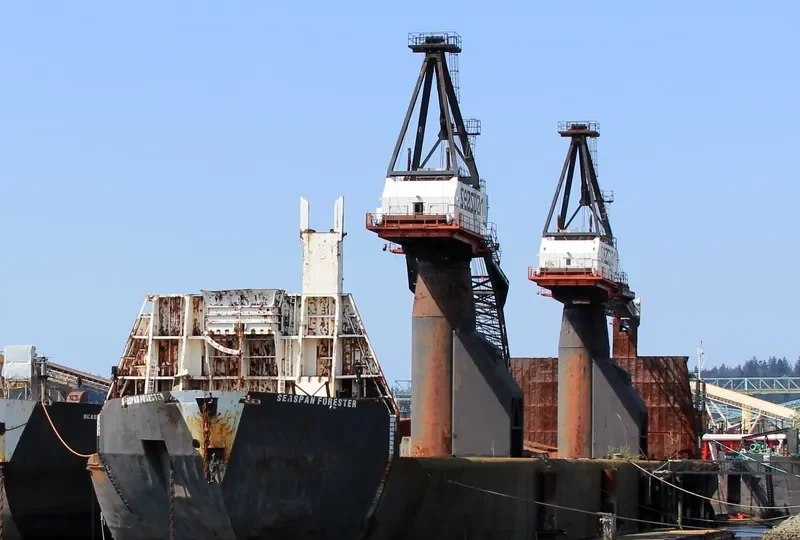 SEASPAN FORESTER General Cargo IMO 7011242 photo 2