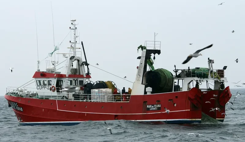 MAR DE VIANA Fishing Vessel IMO 7011278 photo 9
