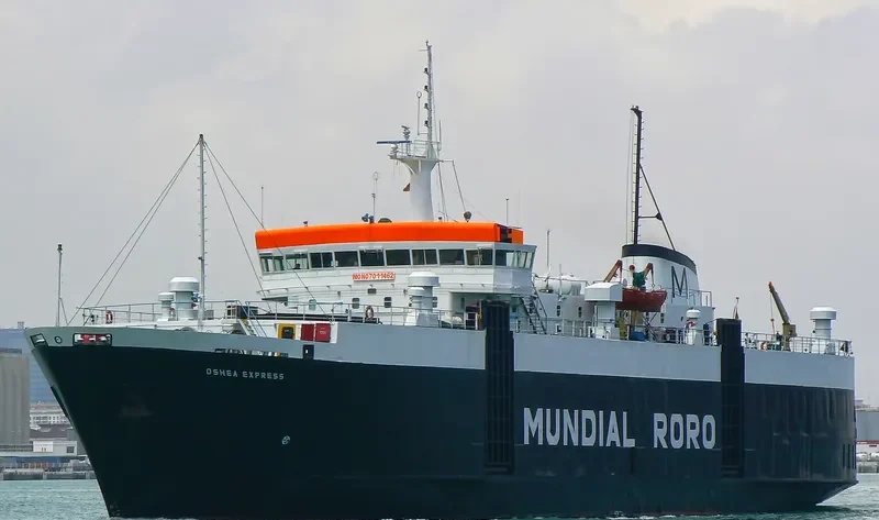 AHMED N General Cargo IMO 7011462