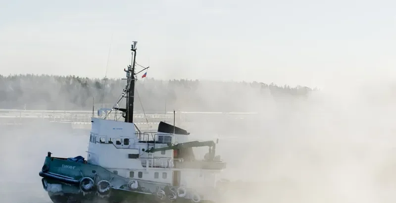 VIKING General Cargo IMO 7011606 photo 3