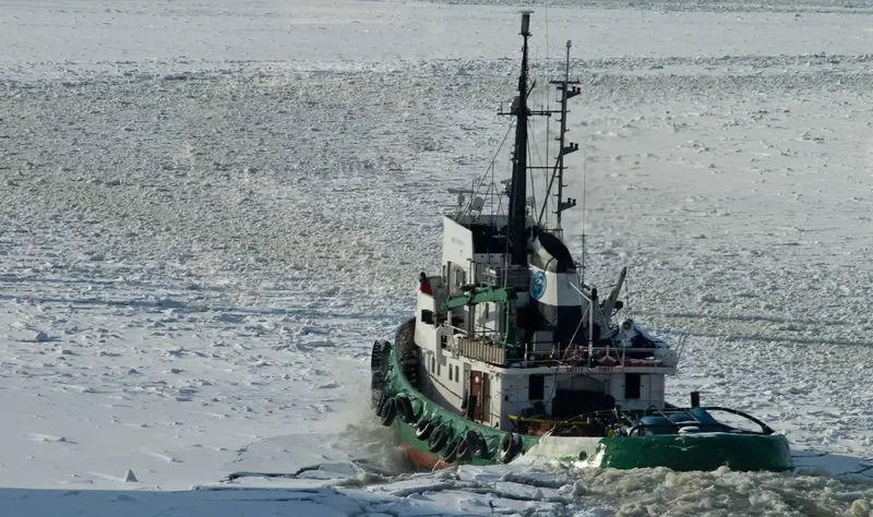 VIKING General Cargo IMO 7011606 photo 7
