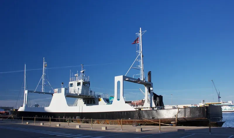 BASE 173 Ro-Ro IMO 7012399 photo 3