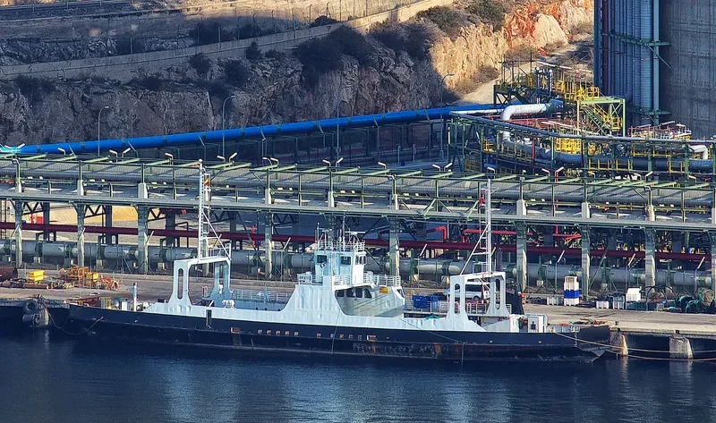 BASE 173 Ro-Ro IMO 7012399 photo 6