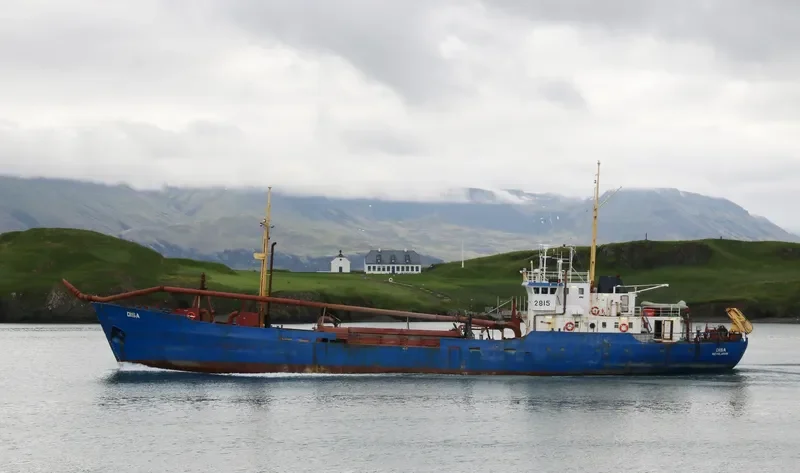 DISA General Cargo IMO 7013733 photo 2