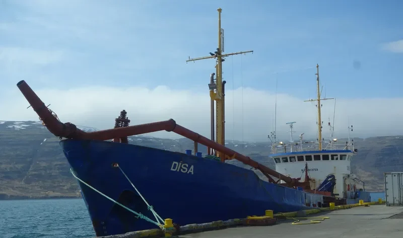 DISA General Cargo IMO 7013733 photo 4