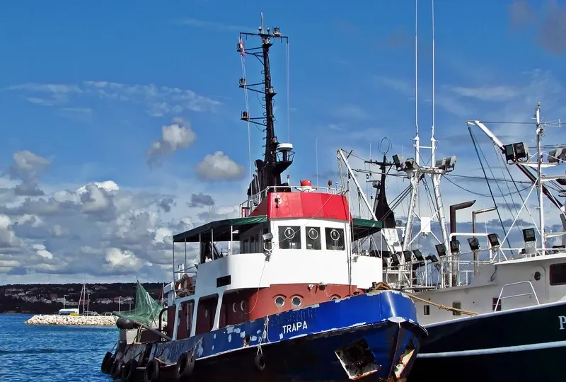 TRAPA Tug Boat IMO 7017090 photo 3