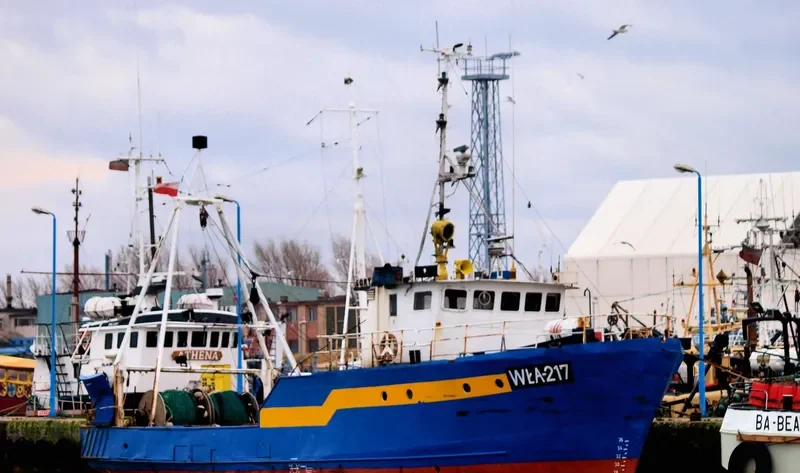 WLA 217 General Cargo IMO 7017301 photo 3