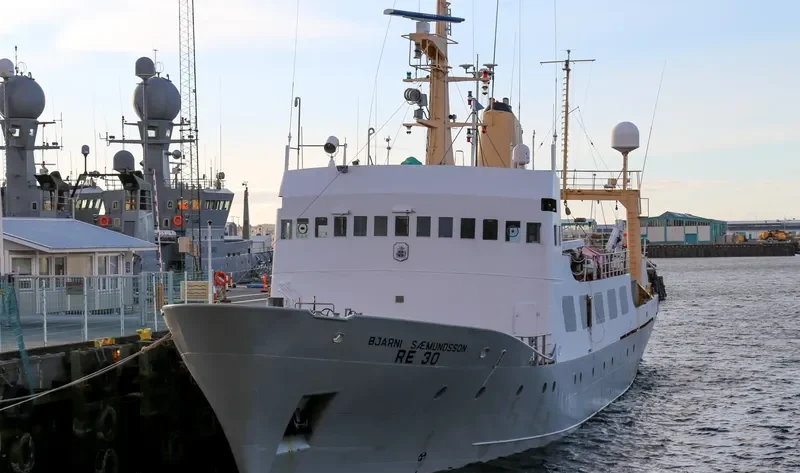 BJARNI SAEMUNDSSON General Cargo IMO 7017466 photo 6