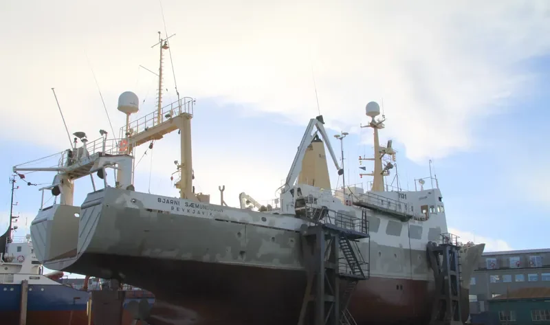 BJARNI SAEMUNDSSON General Cargo IMO 7017466 photo 10