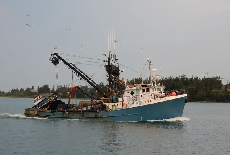 SEALIFE II Fishing Vessel IMO 7017765 photo 3