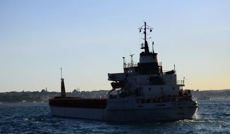 ALM Container Ship IMO 7019220
