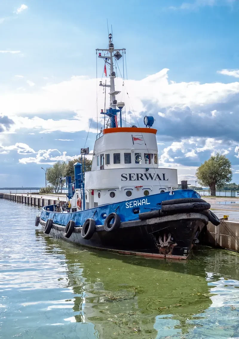 SERWAL Tug Boat IMO 7020994 photo 7