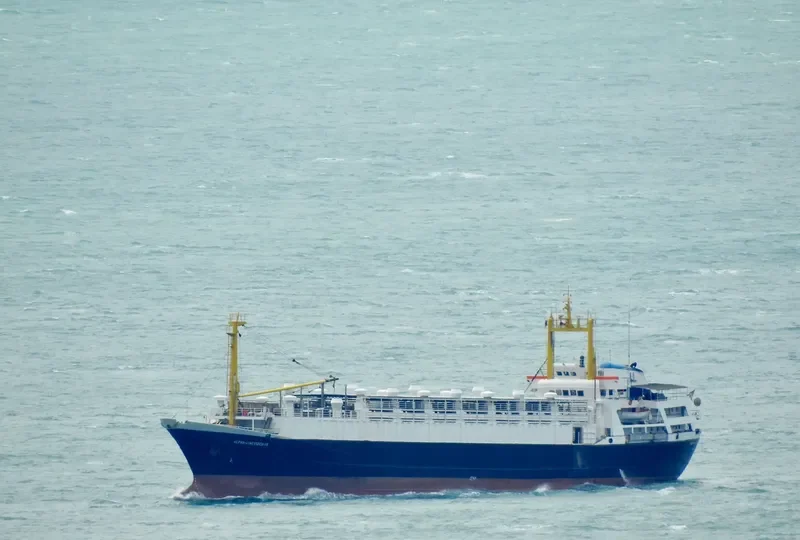 UNIMAR LIVESTOCK General Cargo IMO 7021821