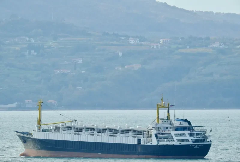 UNIMAR LIVESTOCK General Cargo IMO 7021821 photo 4
