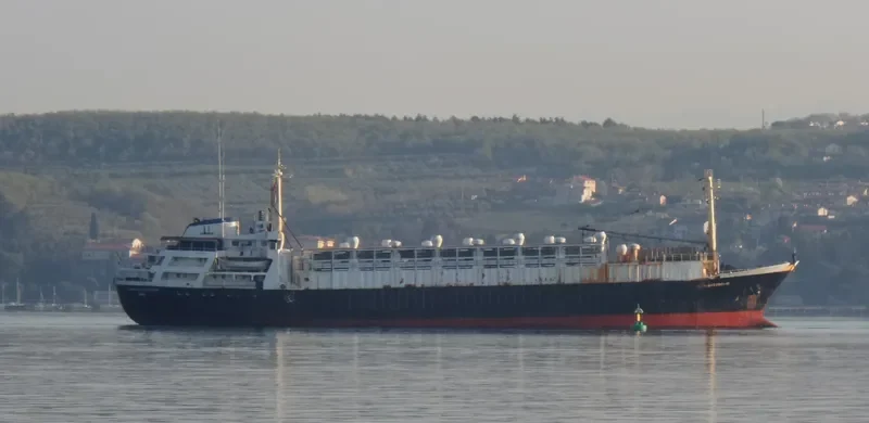 UNIMAR LIVESTOCK General Cargo IMO 7021821 photo 5