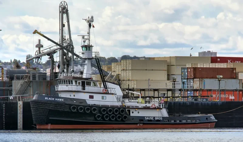 BLACKHAWK General Cargo IMO 7021962 photo 4
