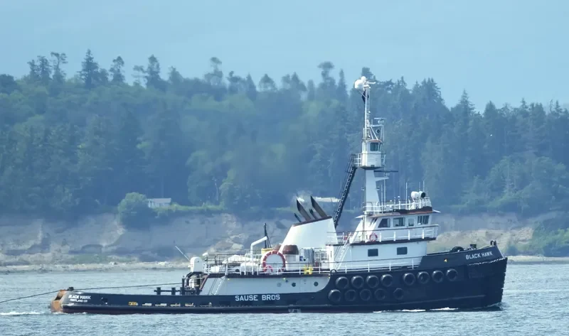 BLACKHAWK General Cargo IMO 7021962 photo 7