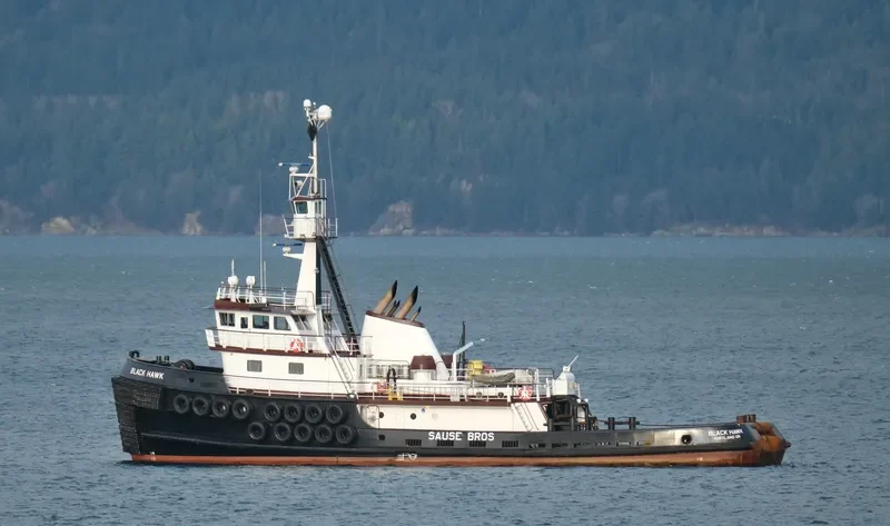 BLACKHAWK General Cargo IMO 7021962 photo 8