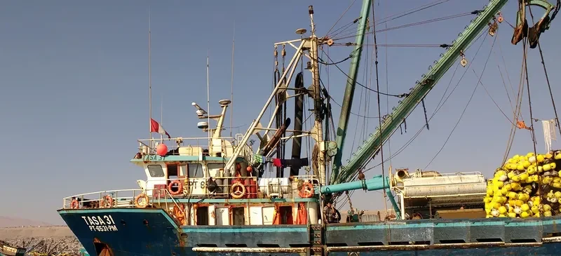 TASA 31 Fishing Vessel IMO 7022095