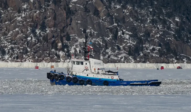 OCEAN BRAVO Tug Boat IMO 7025279 photo 7