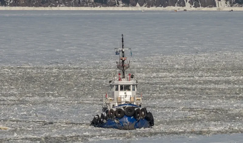 OCEAN BRAVO Tug Boat IMO 7025279 photo 8