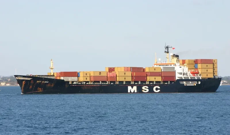 MSC ELIANA Container Ship IMO 7025877 photo 2