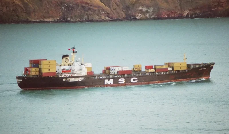 MSC ELIANA Container Ship IMO 7025877 photo 3