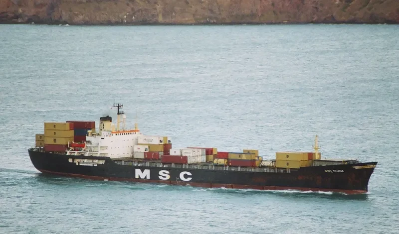 MSC ELIANA Container Ship IMO 7025877 photo 4
