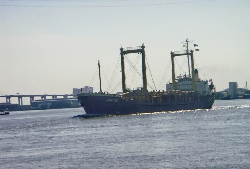 SANG THAI TIMBER General Cargo IMO 7025889