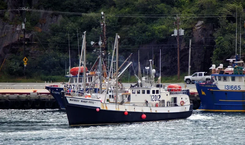 MATHIEU MARIE PIER 2 Fishing Vessel IMO 7026481 photo 9