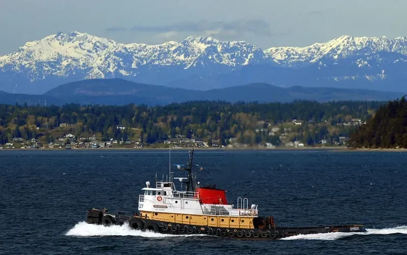 MAVERICK General Cargo IMO 7026998 photo 3