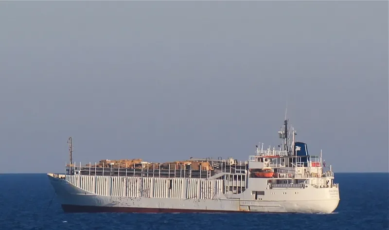 PACIFIC M General Cargo IMO 7041053 photo 10