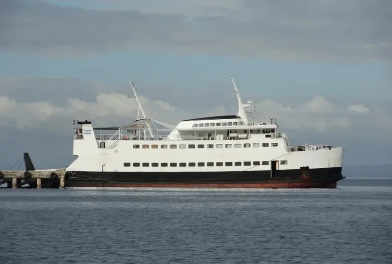 WESTERLAND Ro-Ro IMO 7041091 photo 3