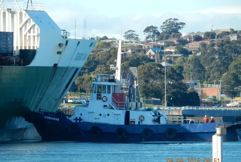 STORM COVE Tug Boat IMO 7041259 photo 3