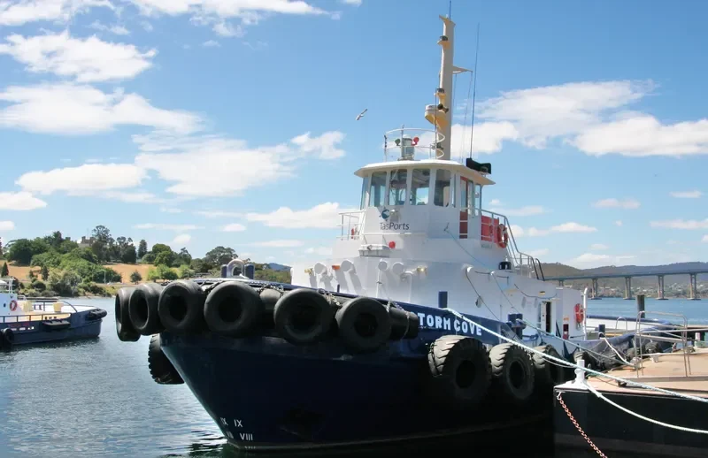 STORM COVE Tug Boat IMO 7041259 photo 4