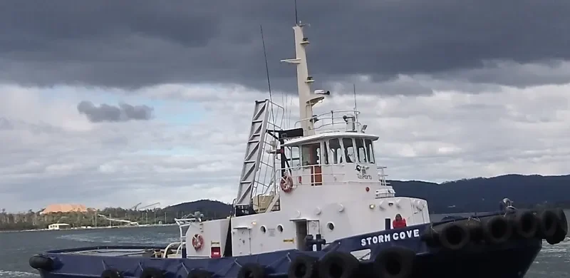 STORM COVE Tug Boat IMO 7041259 photo 5