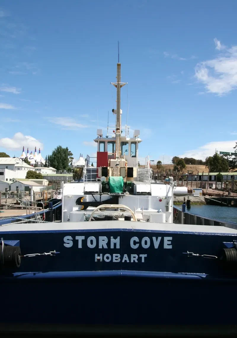 STORM COVE Tug Boat IMO 7041259 photo 8