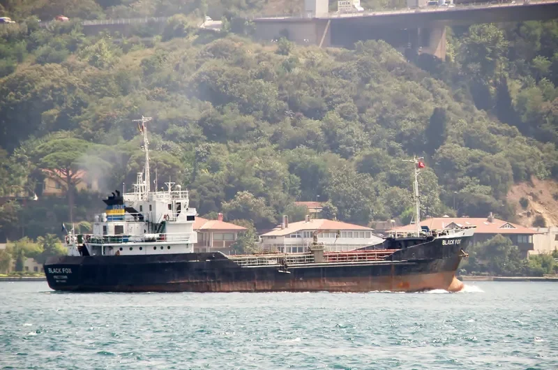 BLACK FOX General Cargo Vessel IMO 7042502 photo 2