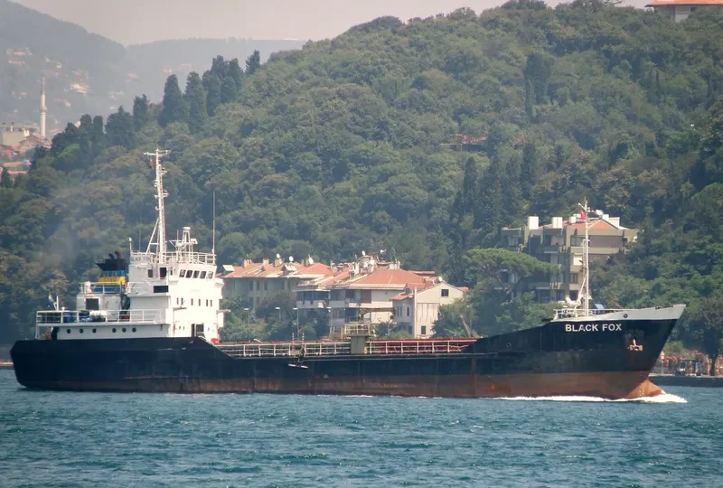 BLACK FOX General Cargo Vessel IMO 7042502 photo 3