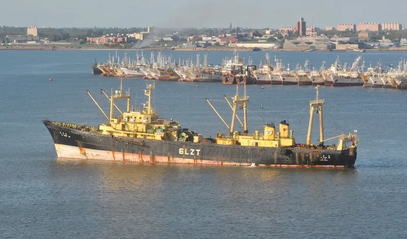 SAE IN CHAMPION General Cargo IMO 7042538 photo 5