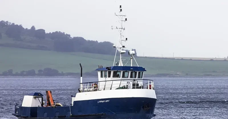 LYRAWA BAY Ro-Ro IMO 7042667 photo 2