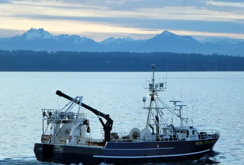 PACIFIC CHALLENGER Fishing Vessel IMO 7043221