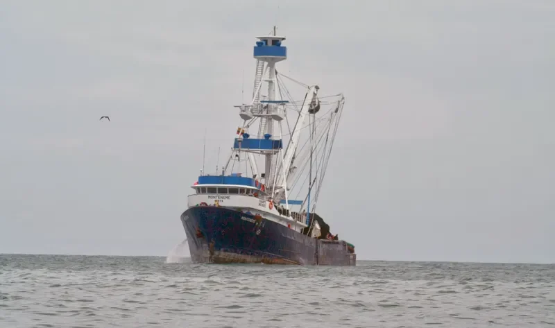 MONTENEME General Cargo IMO 7043972