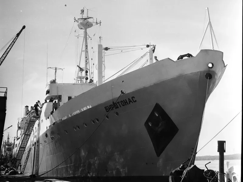 BIRSTONAS General Cargo IMO 7044598