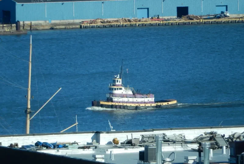 HIGH ROLLER General Cargo IMO 7045970 photo 7