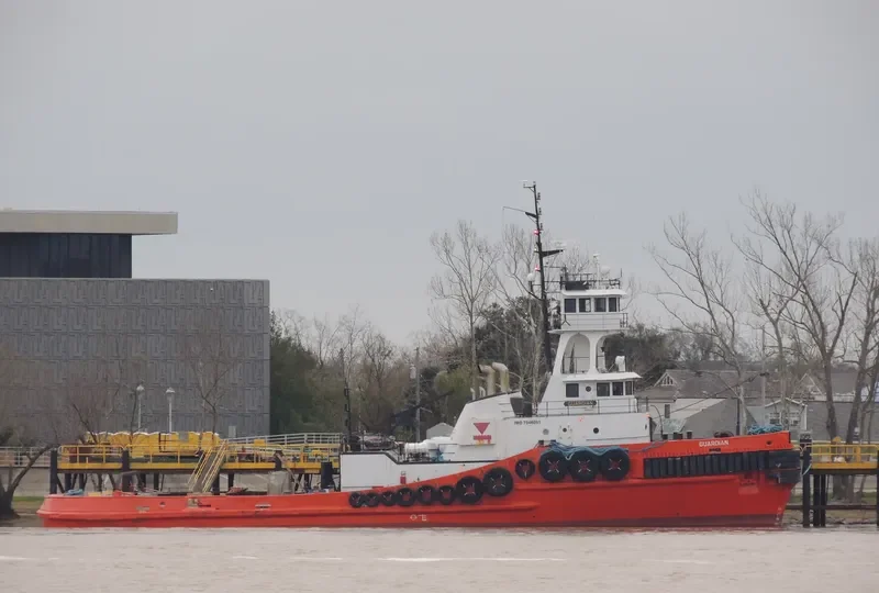 GUARDIAN General Cargo IMO 7046091