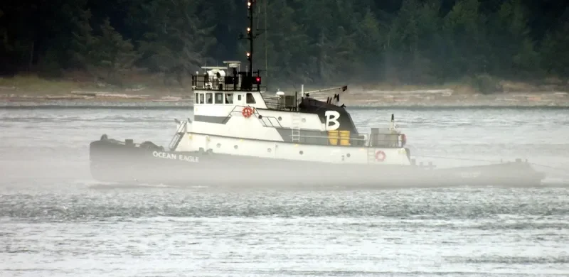 OCEAN EAGLE Tug Boat IMO 7047239