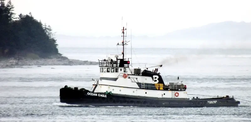 OCEAN EAGLE Tug Boat IMO 7047239 photo 2