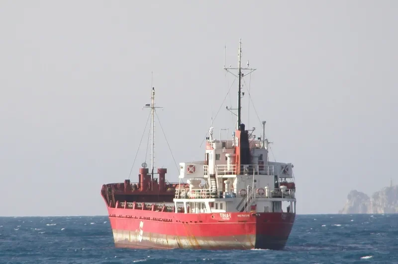 TINA I General Cargo IMO 7047370 photo 2
