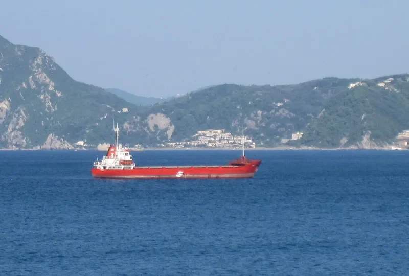 TINA I General Cargo IMO 7047370 photo 3